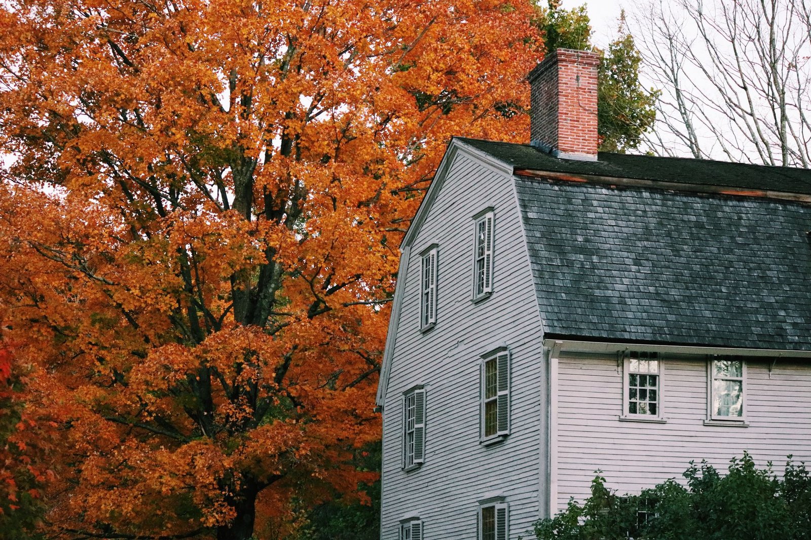 Historic New England home surrounded by autumn foliage